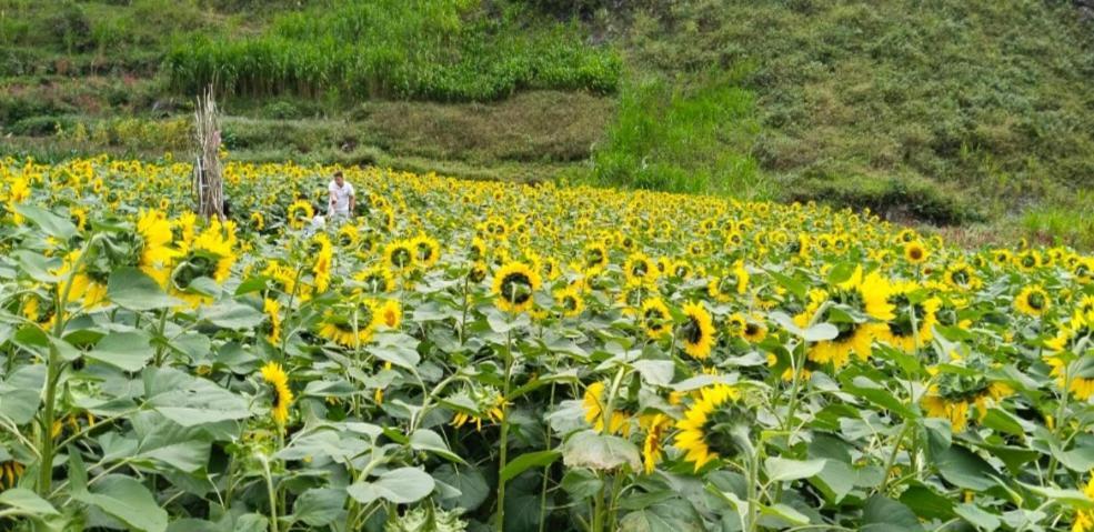 Nha Nghi Anh Van Đồng Văn Esterno foto